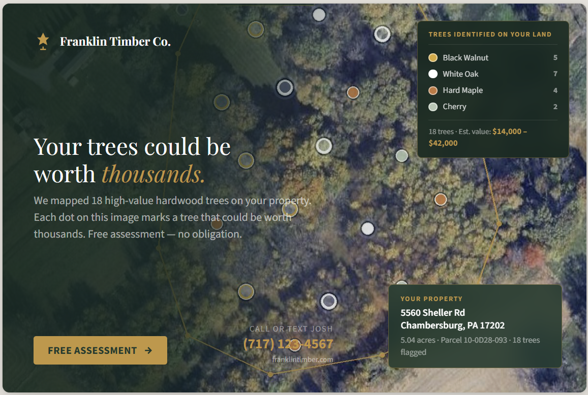 Owl — Postcard front with satellite tree map
